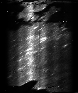 ascat_grayscale_ch3.png
